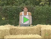 Building with Straw Bales